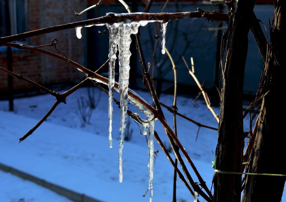 Сосульки в синем