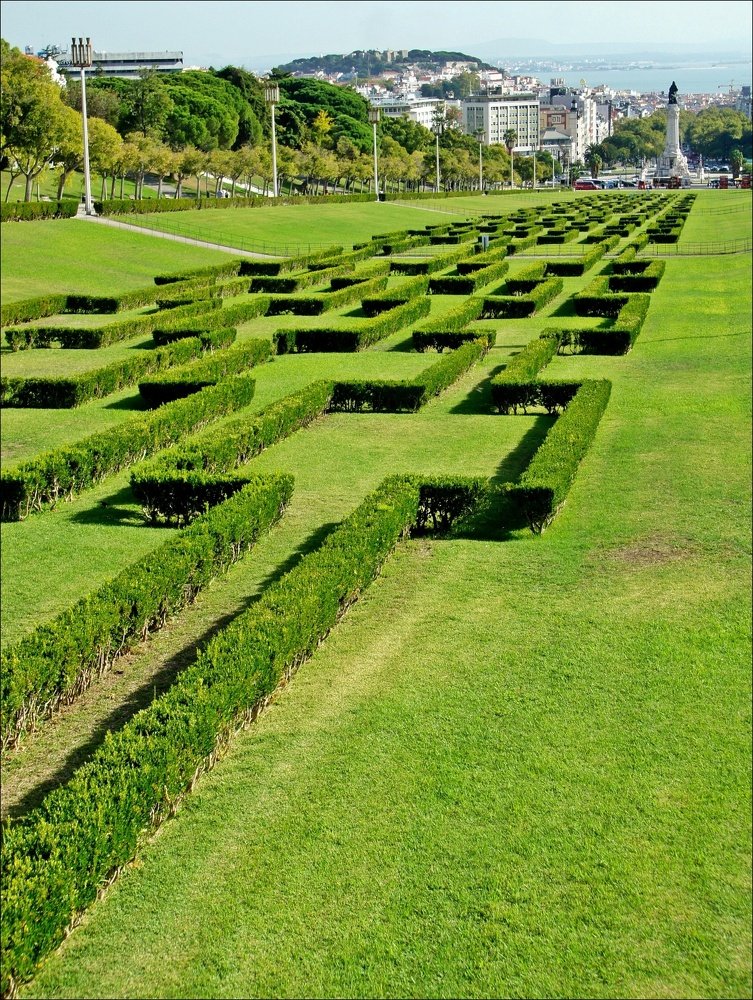 Зеленая геометрия