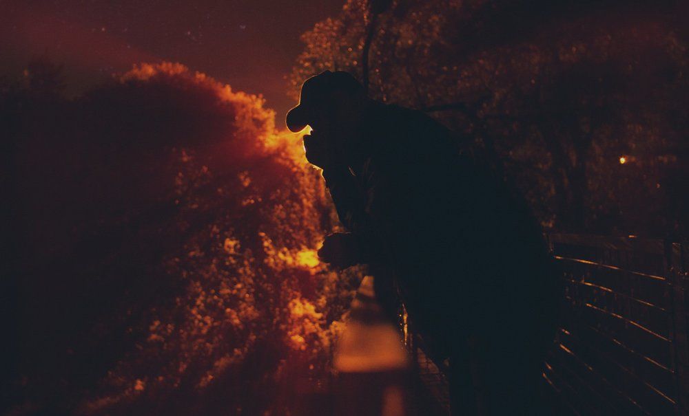 Мост тишины