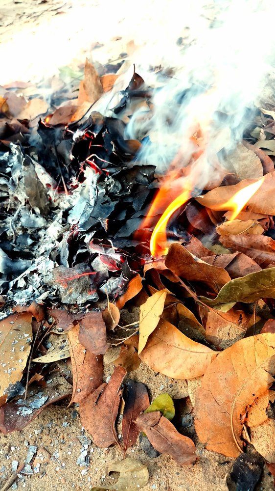 In search of warmth....