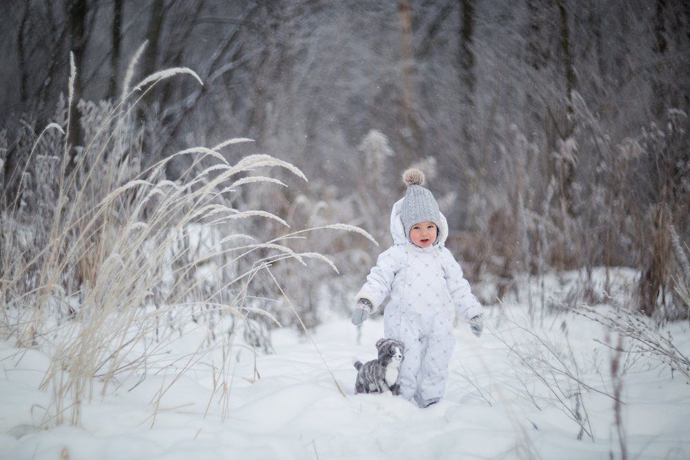 мягкий друг