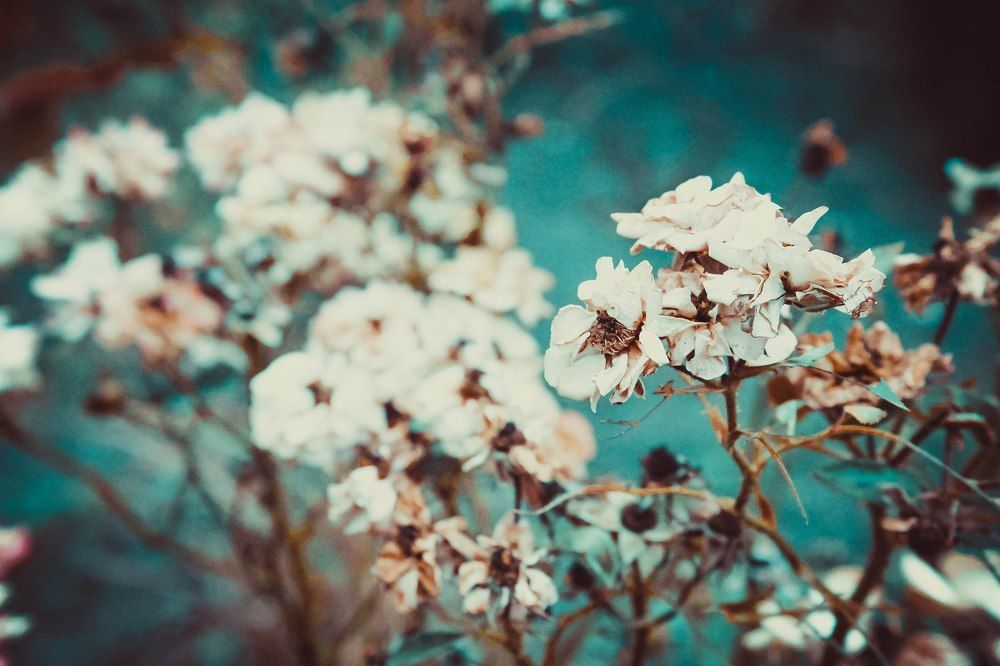 Photograph by Ya Velisoff