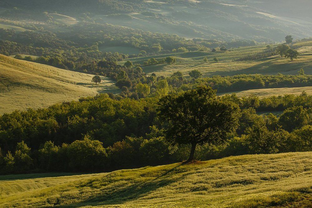 Утро в Тоскане