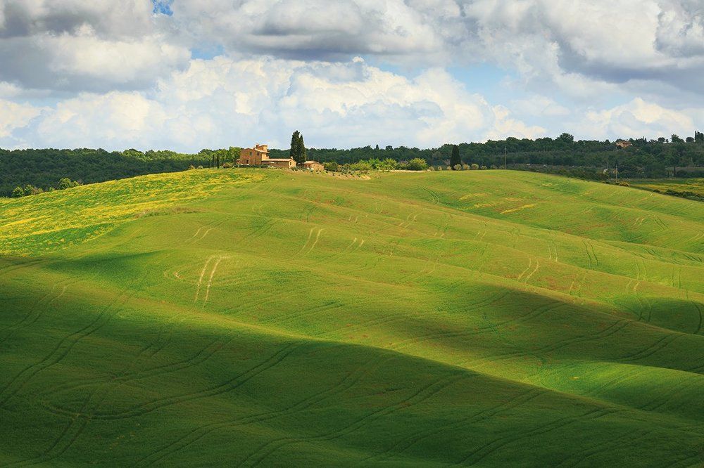 Зеленые холмы в Тоскане