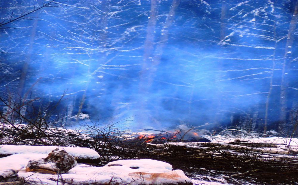 на лесоповале