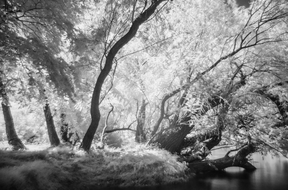 На острве Седластом