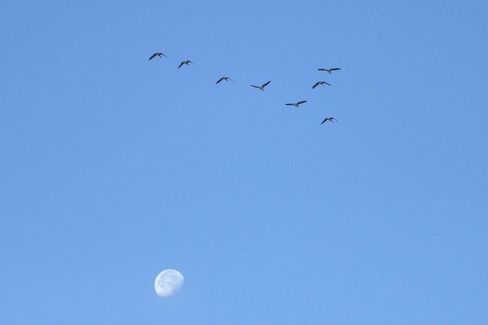 Небо манит.