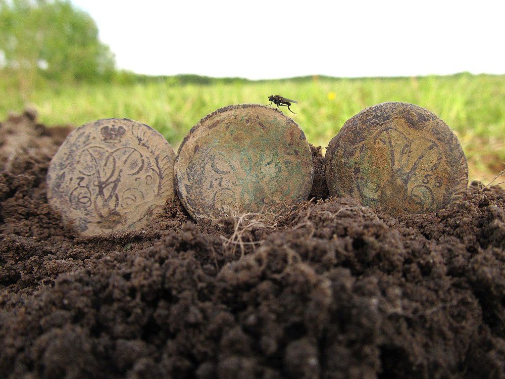 Муха по-полю пошла,муха денежку нашла..