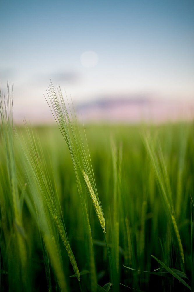 Photograph by Аверин Максим