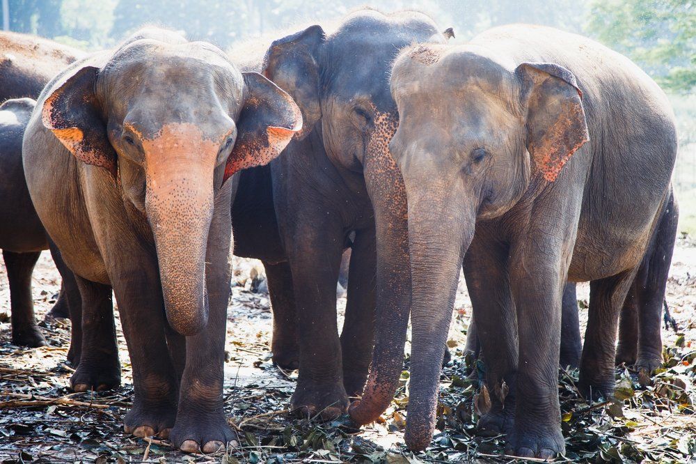 Photograph by Маслова Вика