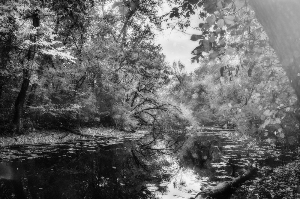 Осень На Домахе