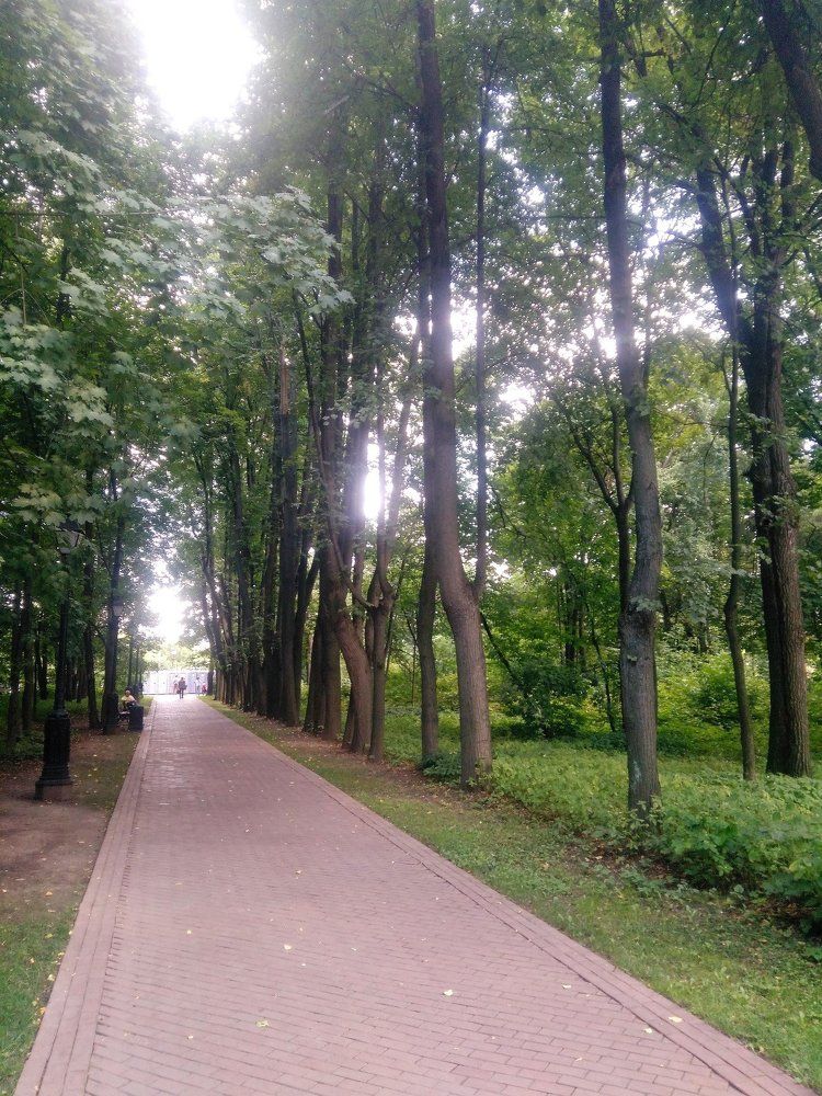 Зелёная аллея