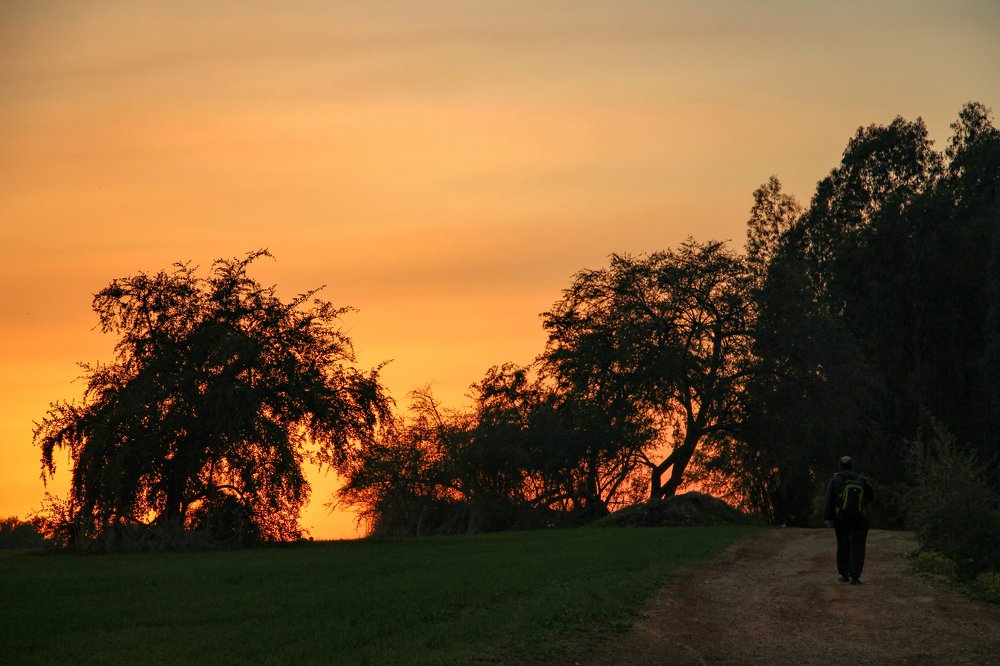 Прогулка на закате