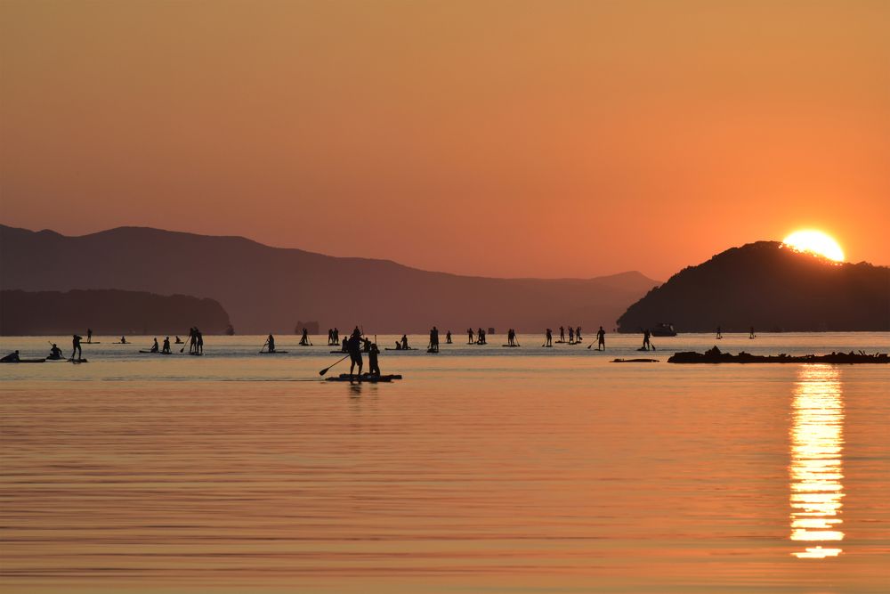 Возвращение домой