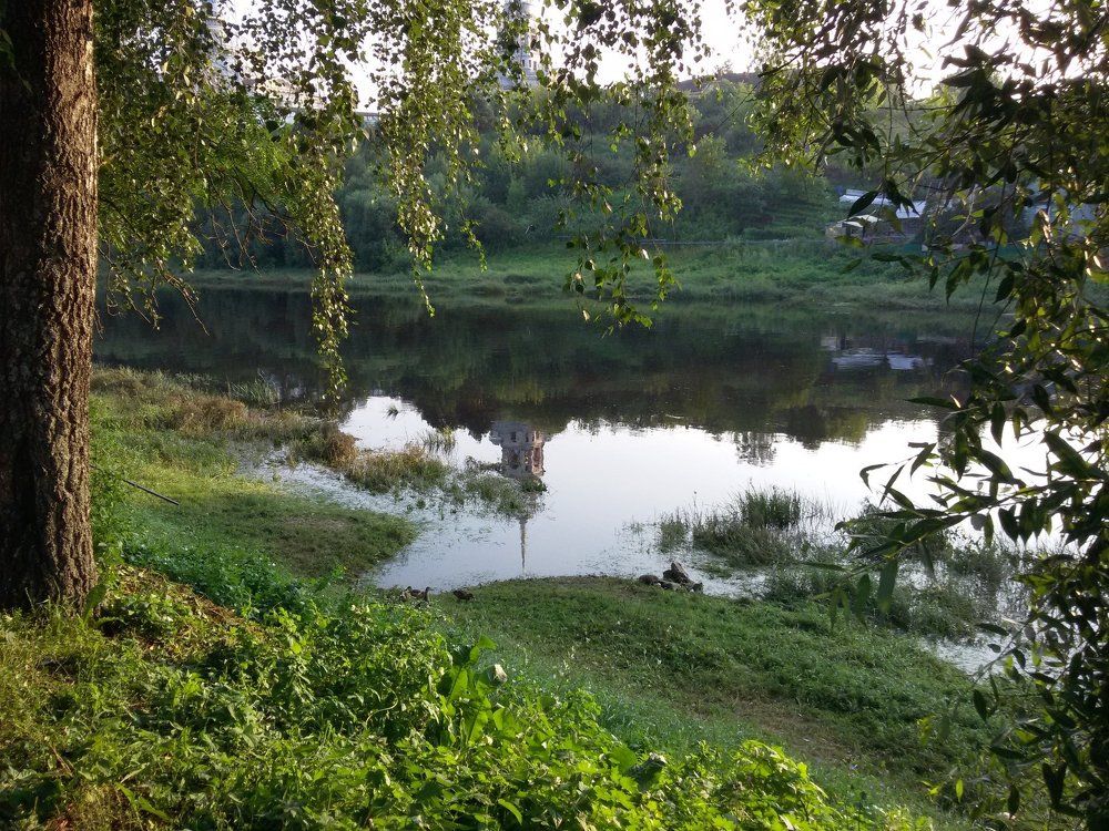 Тверца в Торжке.