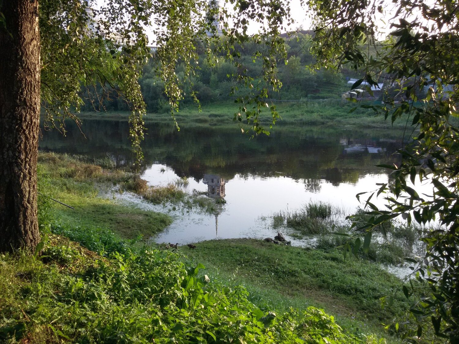 Тверца в Торжке.