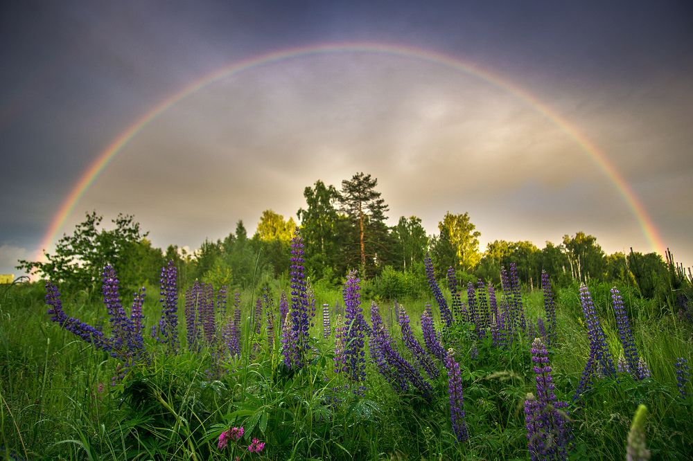 Вечерний дождь