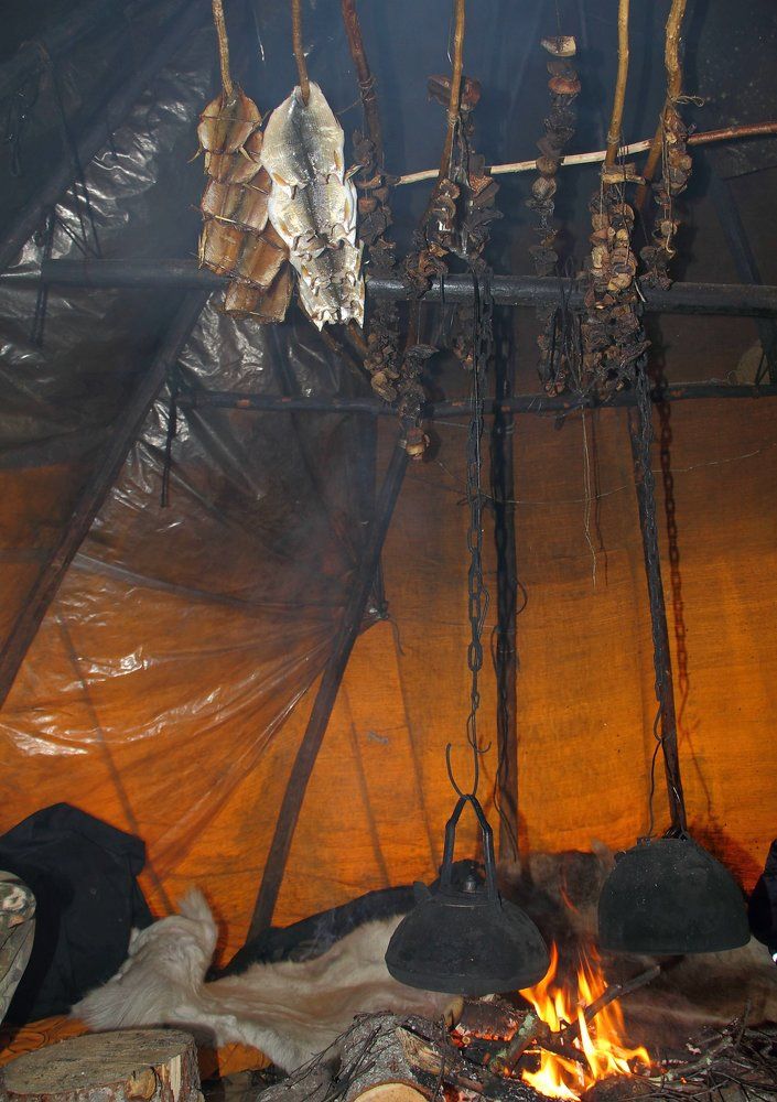 Жизнь  в тайге.