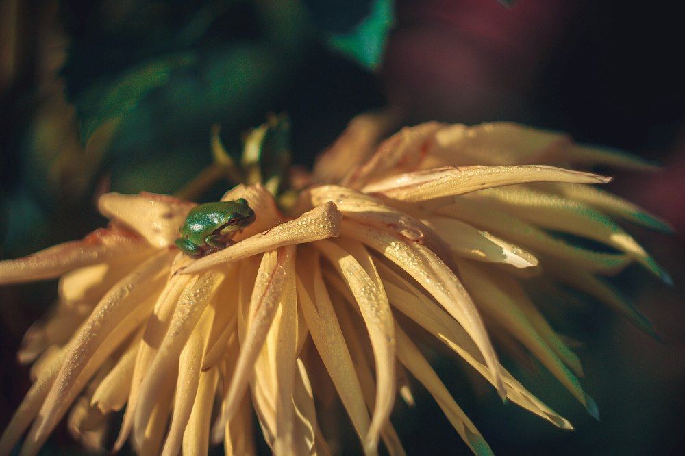 Photograph by Ya Velisoff