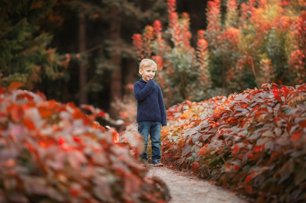 Большой красивый мир