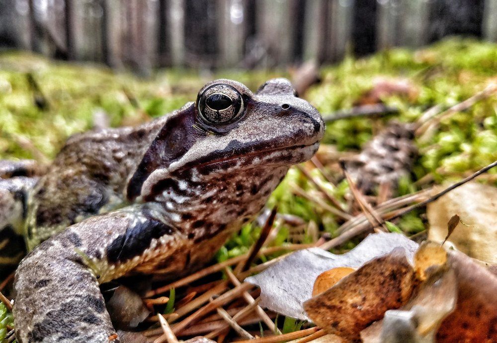 Photograph by Павел Орлов