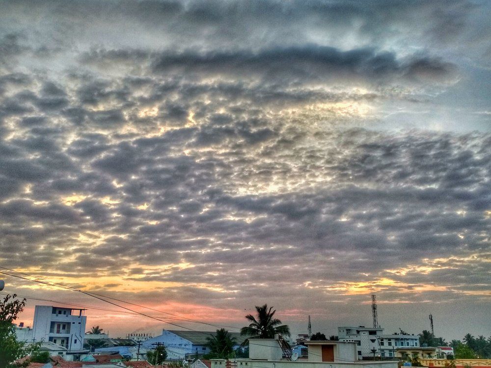 admired capture