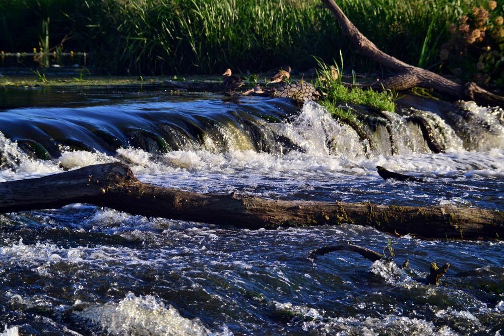 Вода бурлит и пенится...