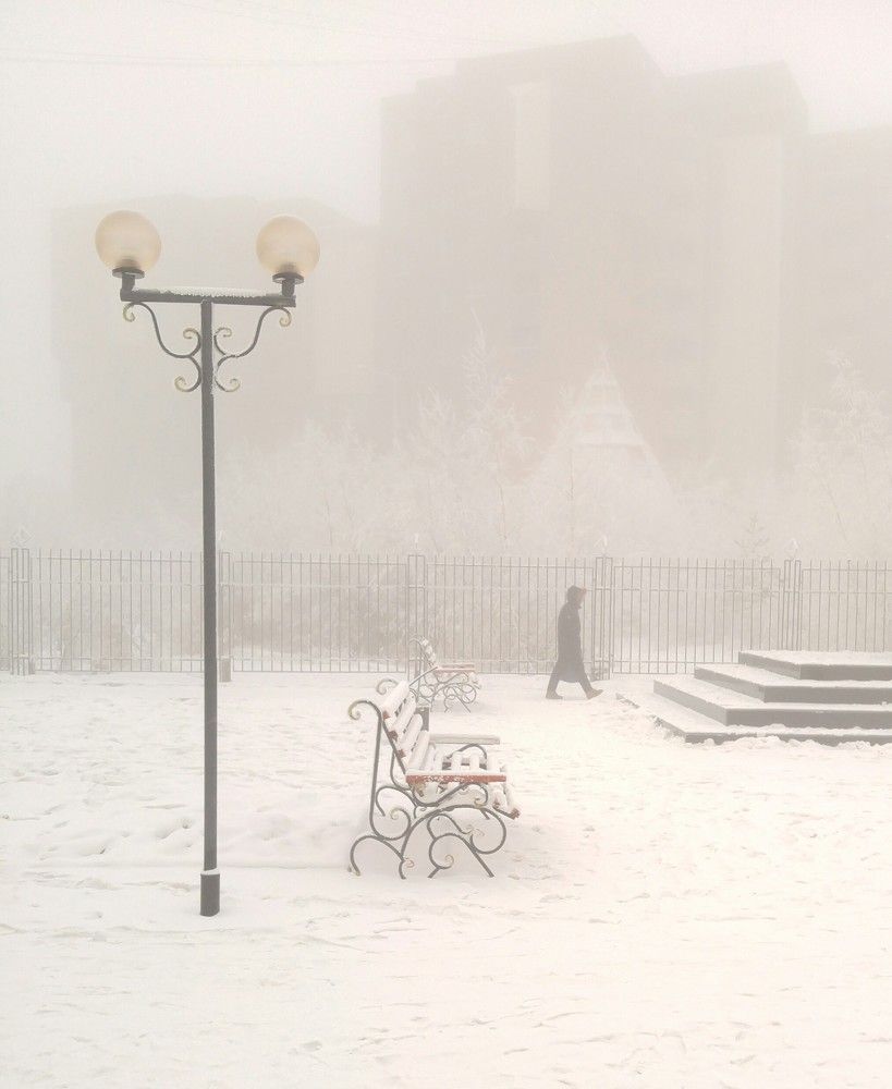 Мороз и туман