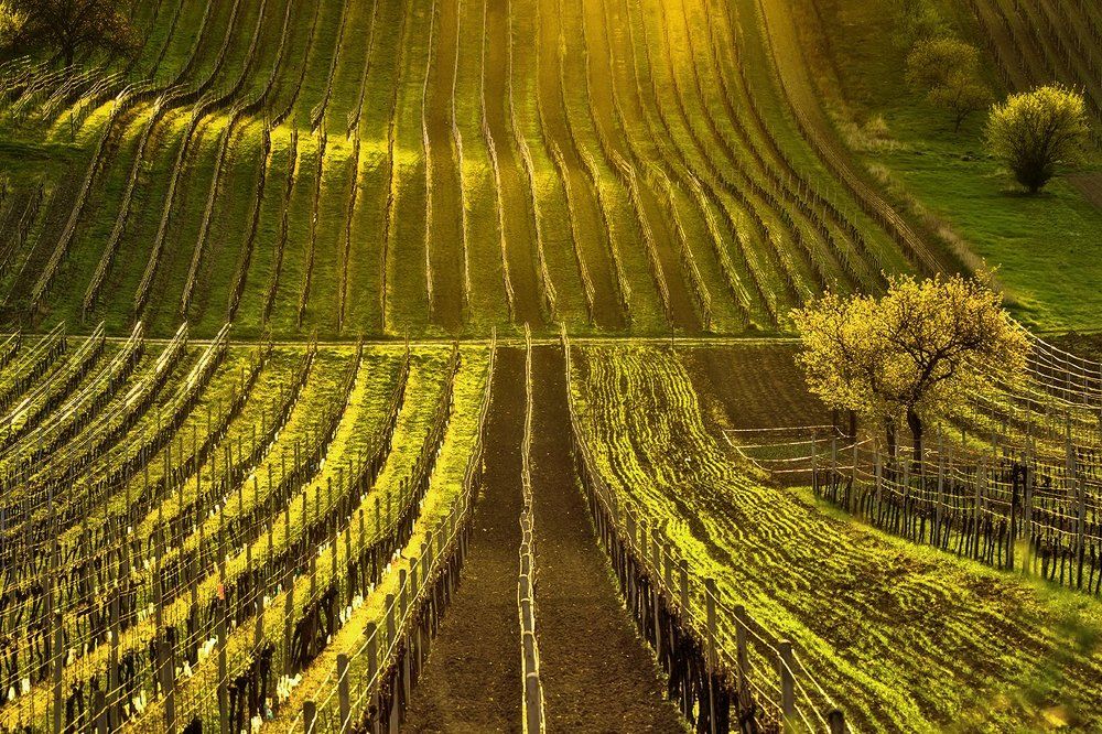 Южноморавская весна