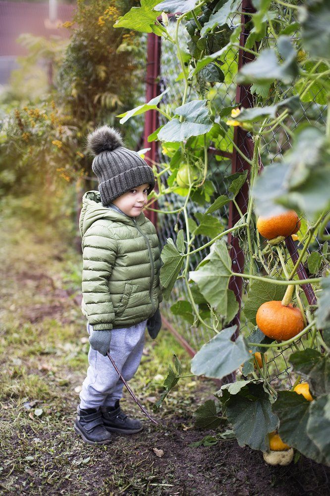милый шкодник