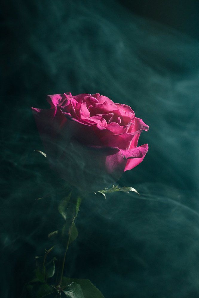 Photograph by Elena Bunina