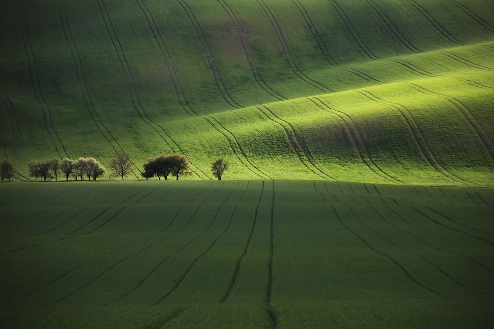 Моравская классика