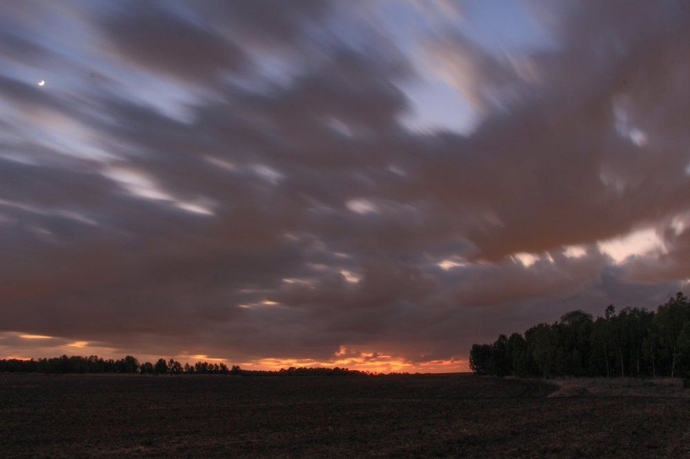 Чудо природы