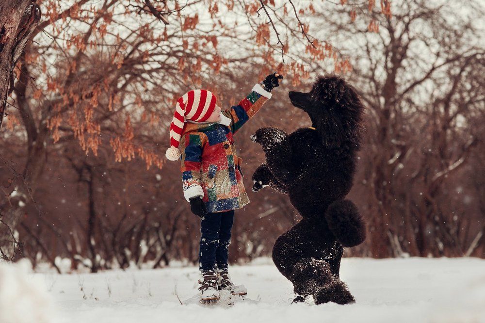 Зимний Буратино