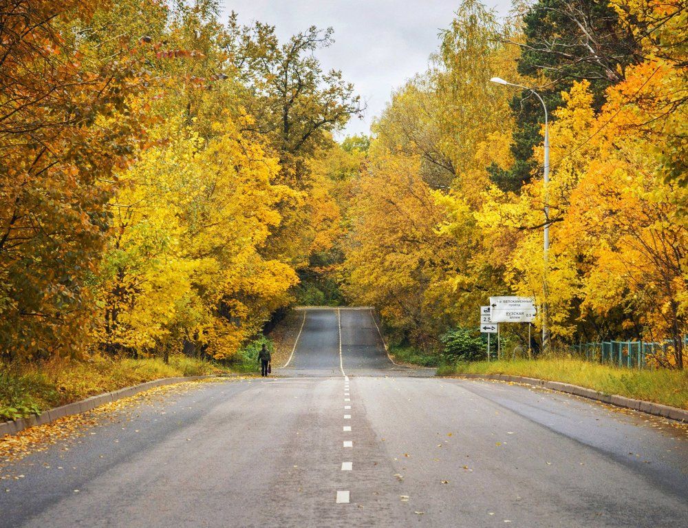 Осень в Сокольниках
