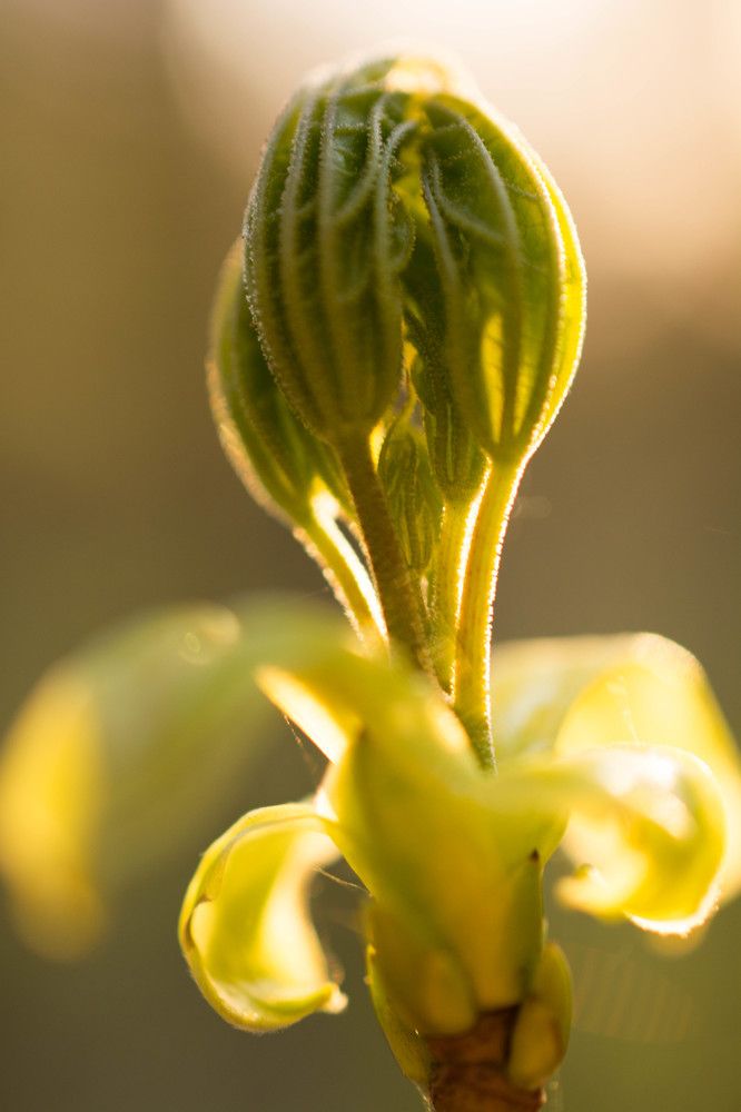 Photograph by Мария