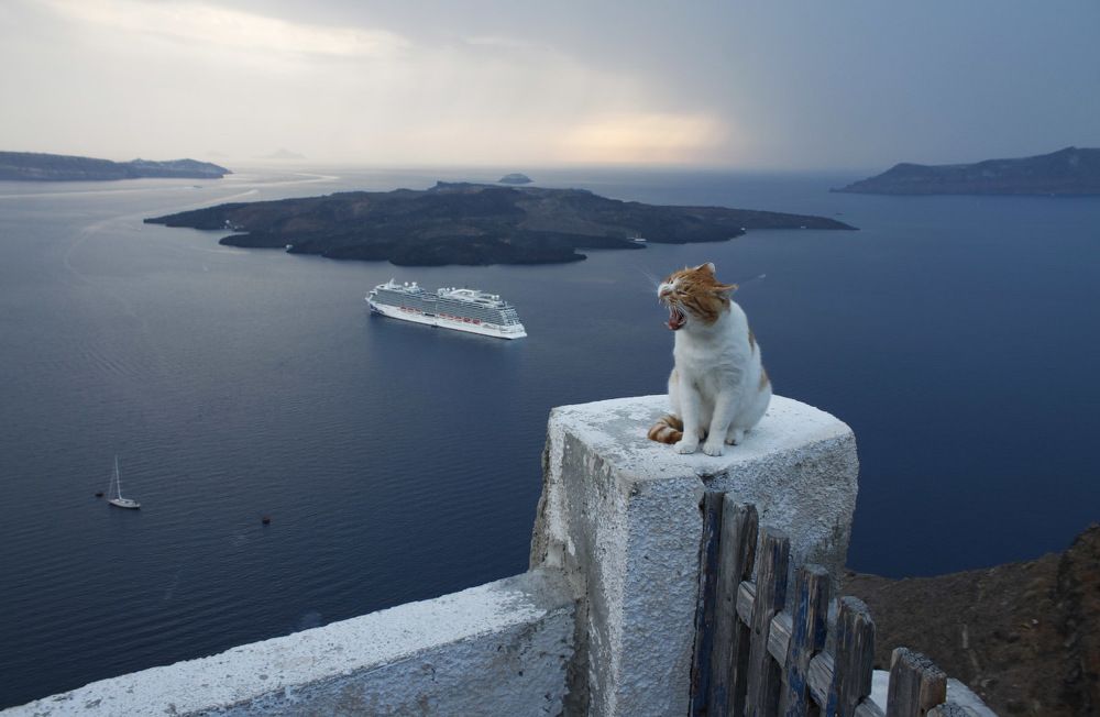 Закат в городе Фира. Санторини