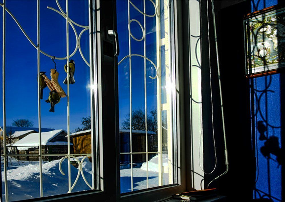 птички-синички