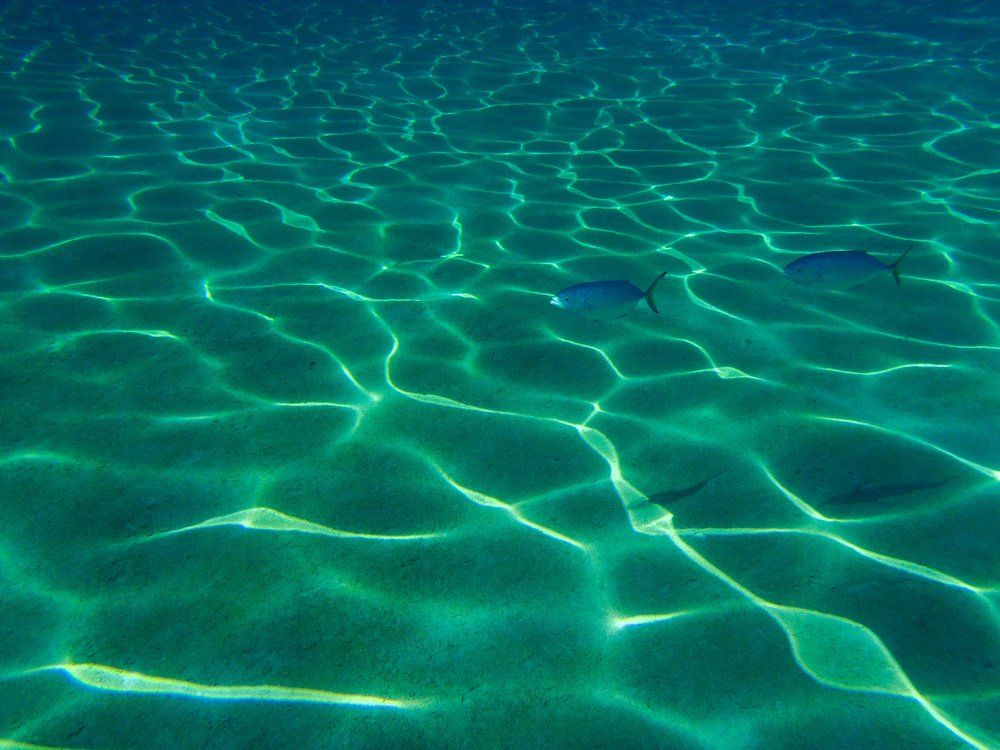 Фотография автора Владимир Дмитриев