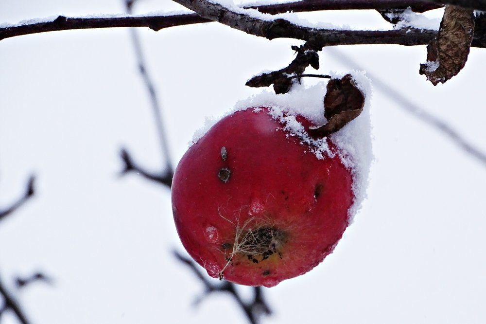 Photograph by Людмила