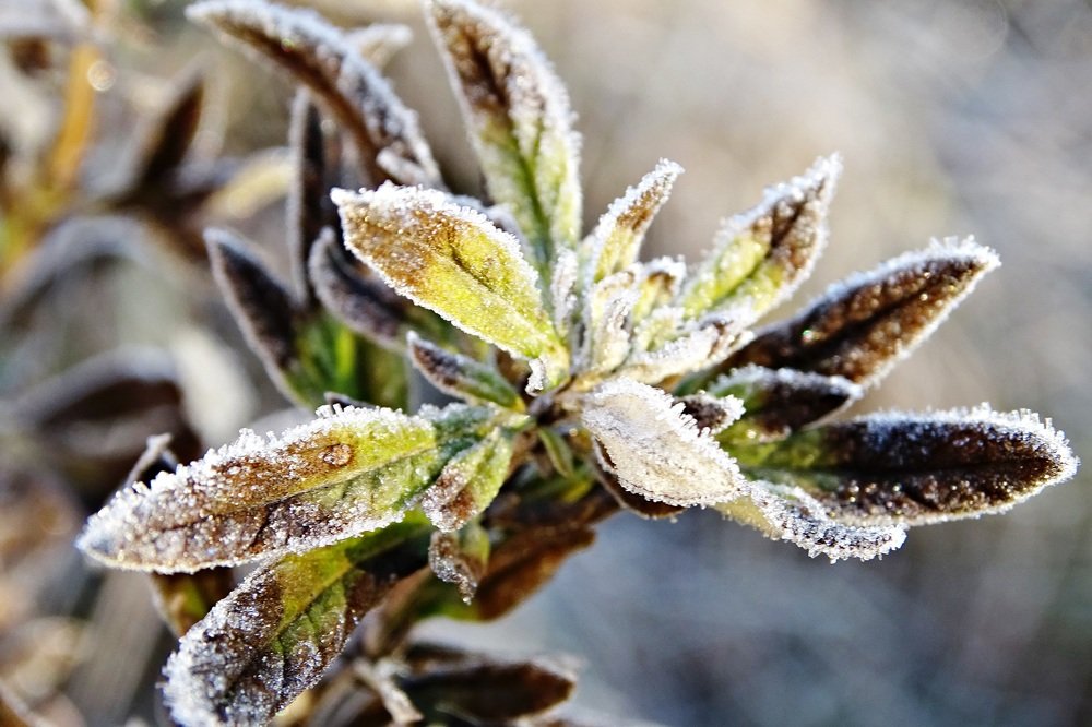 Photograph by Людмила