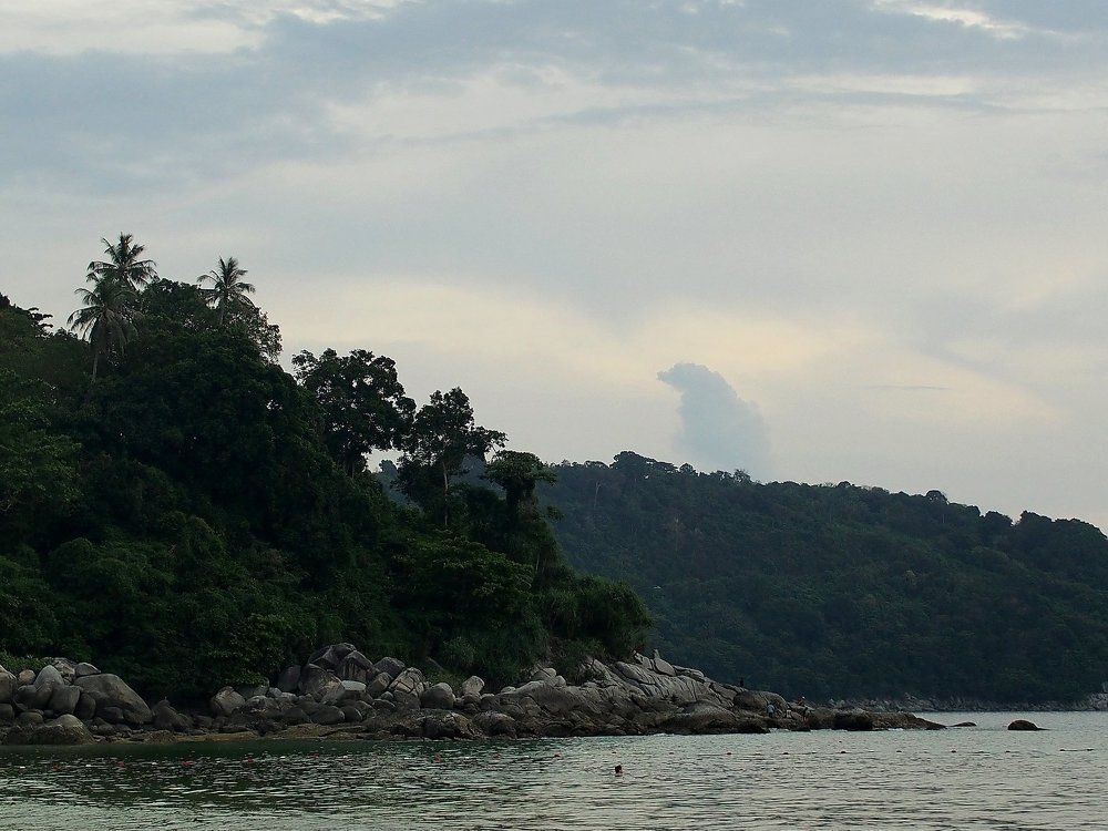 Правильный зеленый