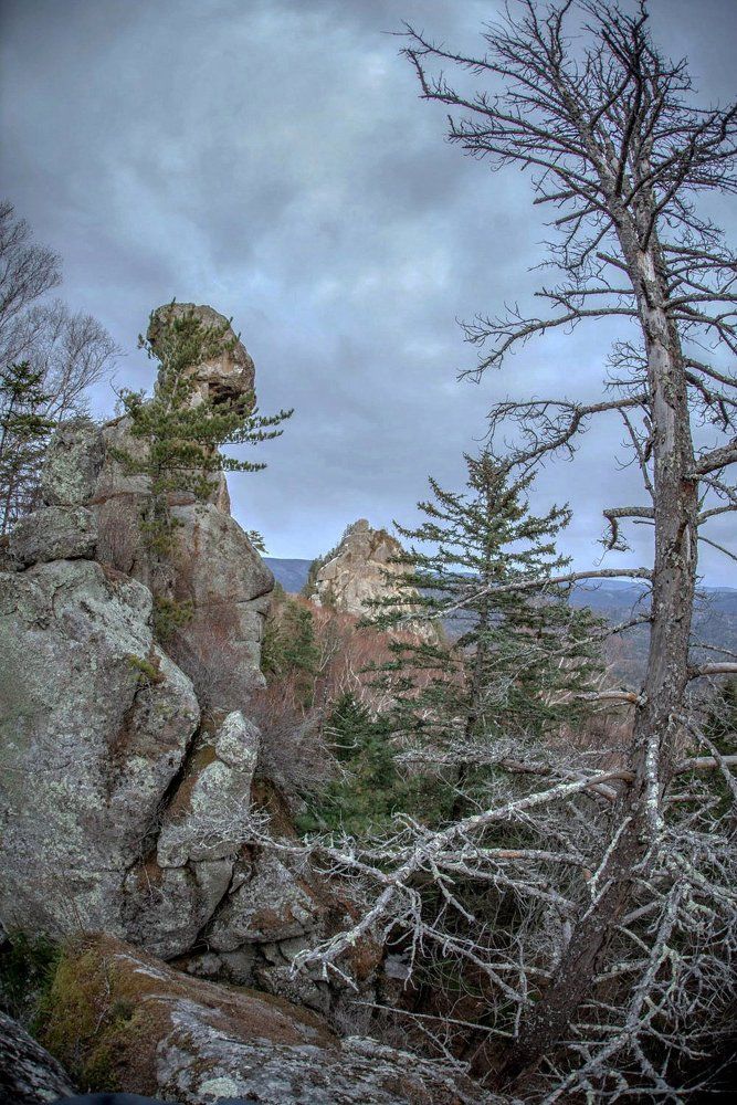 Урочище "Тигровый дом"