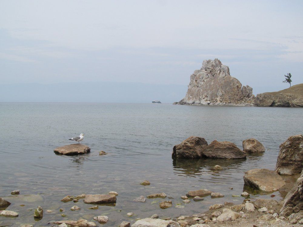 Среди камней-одинокая Чайка