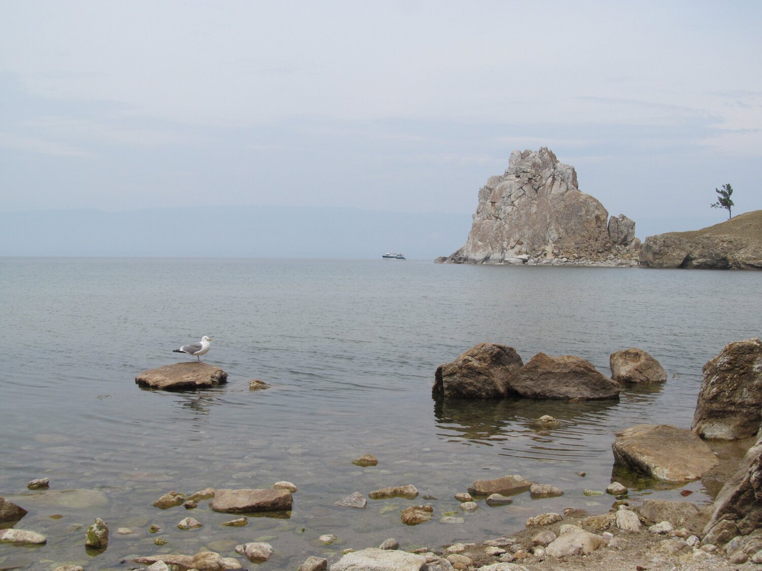 Среди камней-одинокая Чайка