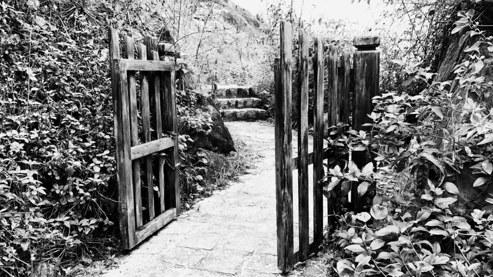 Путь к просвещению