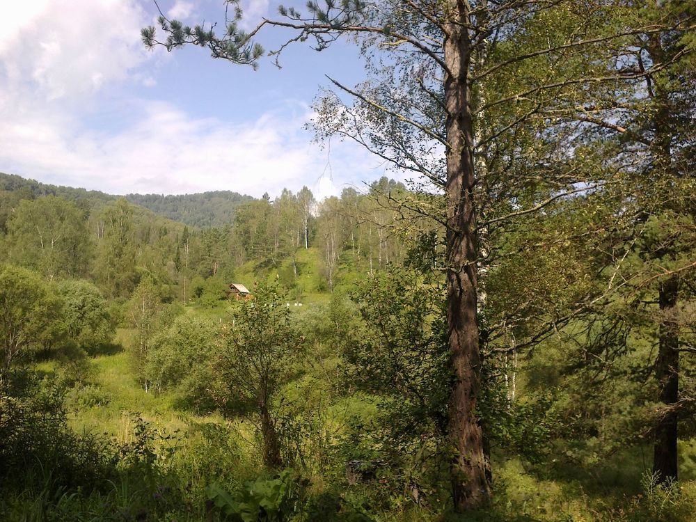 Королевич Ярослав г. Томск/Алтай-домик в глуши