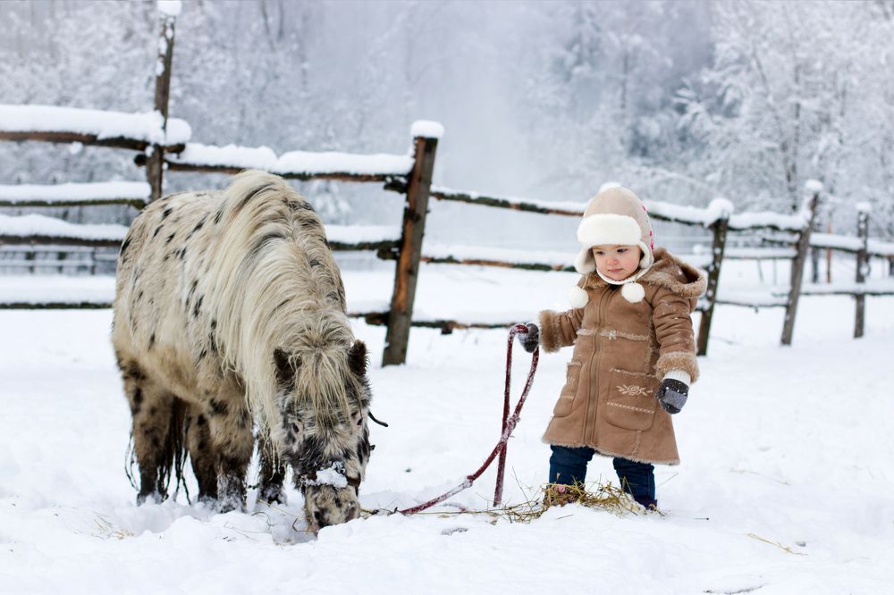 Маленькая помощница