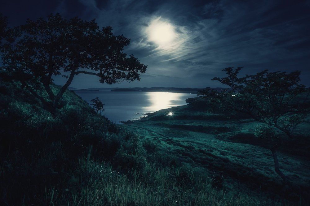 Лунная соната.