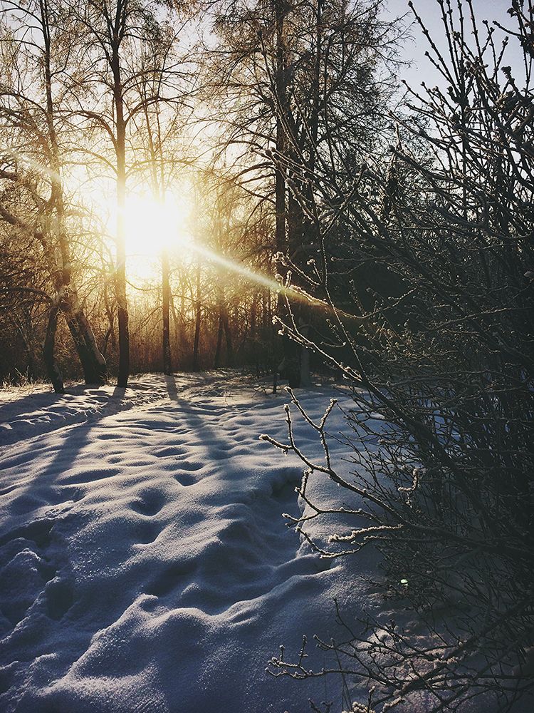 Evening sun in Siberia